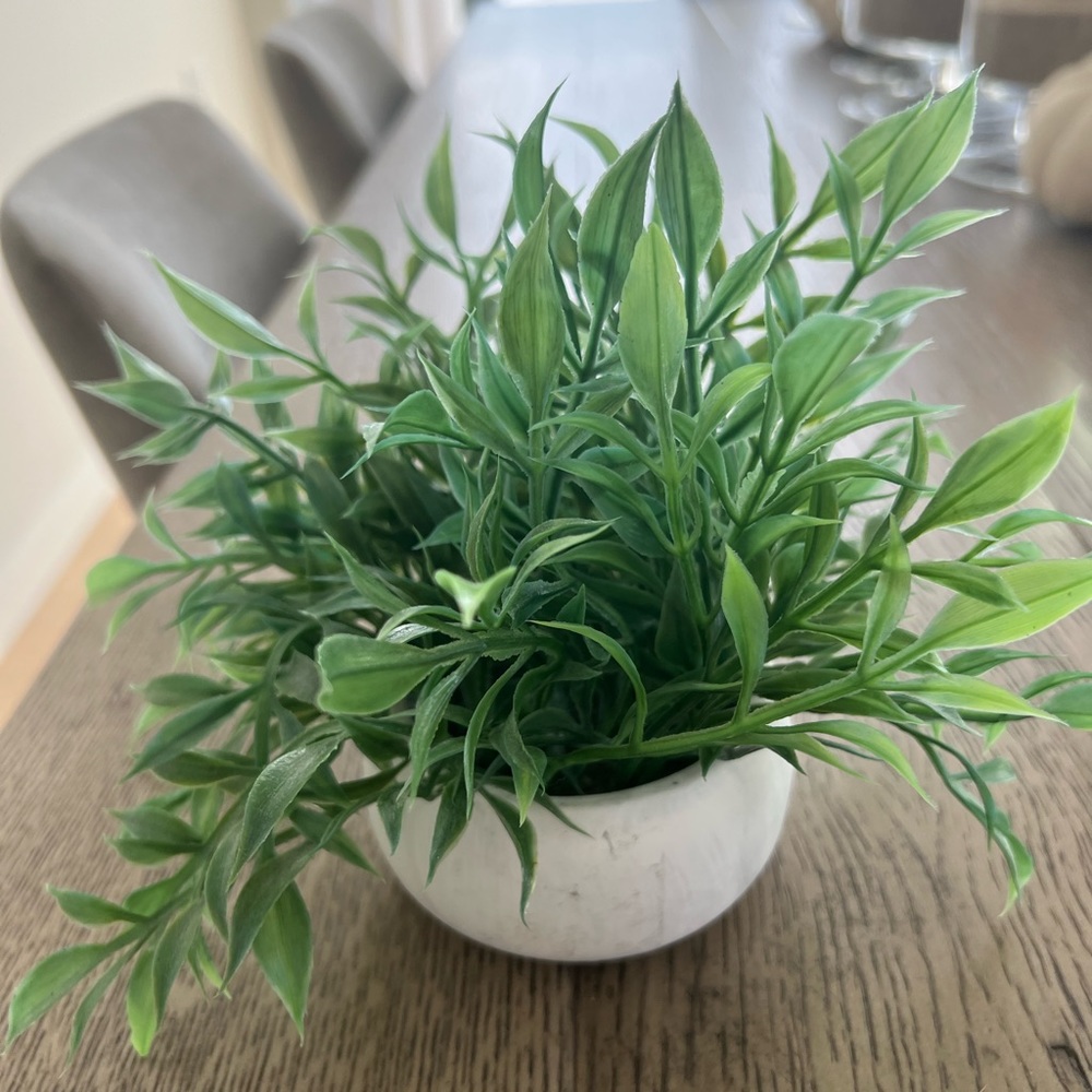 Home Accent Decor Faux Plant & Vase